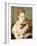 Woman with a Cat-Pierre-Auguste Renoir-Framed Giclee Print