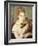 Woman with a Cat-Pierre-Auguste Renoir-Framed Giclee Print