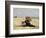 Woman with a Parasol on the Beach, 1880-Eug?ne Boudin-Framed Giclee Print