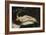 Woman with a Parrot, 1866-Gustave Courbet-Framed Giclee Print