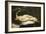 Woman with a Parrot-Gustave Courbet-Framed Art Print