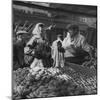 Woman with a Small Terrier Buying Bagels at a Market Stall, Possibly London, C.1945-50-null-Mounted Giclee Print