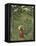 Woman with an Umbrella in an Exotic Forest-Henri Rousseau-Framed Premier Image Canvas