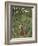 Woman with an Umbrella in an Exotic Forest-Henri Rousseau-Framed Giclee Print