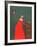 Woman with Apples-Branko Bahunek-Framed Collectable Print