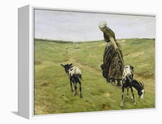 Woman with goats on the dunes. 1890-Max Liebermann-Framed Premier Image Canvas