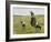 Woman with goats on the dunes. 1890-Max Liebermann-Framed Giclee Print