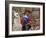 Woman with Llama, Boy, and Parrot, Sacsayhuaman Inca Ruins, Cusco, Peru-Dennis Kirkland-Framed Photographic Print