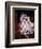 Woman with Mask, 1843-Joseph Desire Court-Framed Giclee Print