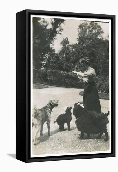 Woman with Three Dogs in a Garden-null-Framed Premier Image Canvas