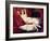 Woman with White Stockings (Oil on Canvas)-Ferdinand Victor Eugene Delacroix-Framed Giclee Print