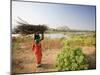 Woman Working Near Hampi, Karnataka, India-Michele Falzone-Mounted Photographic Print