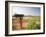 Woman Working Near Hampi, Karnataka, India-Michele Falzone-Framed Photographic Print