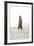 Woman, Young, Summer Dress, Sandy Beach, Niendorf on the Baltic Sea-Axel Schmies-Framed Photographic Print