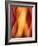 Woman-Ursula Abresch-Framed Photographic Print