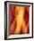 Woman-Ursula Abresch-Framed Photographic Print