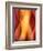 Woman-Ursula Abresch-Framed Photographic Print