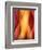 Woman-Ursula Abresch-Framed Photographic Print