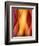 Woman-Ursula Abresch-Framed Photographic Print