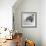 Wombat in a Bathtub-null-Framed Photographic Print displayed on a wall