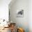 Wombat in a Bathtub-null-Mounted Photographic Print displayed on a wall