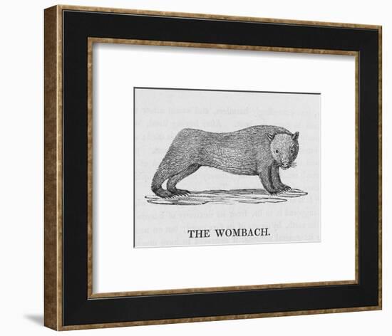 Wombat-null-Framed Art Print