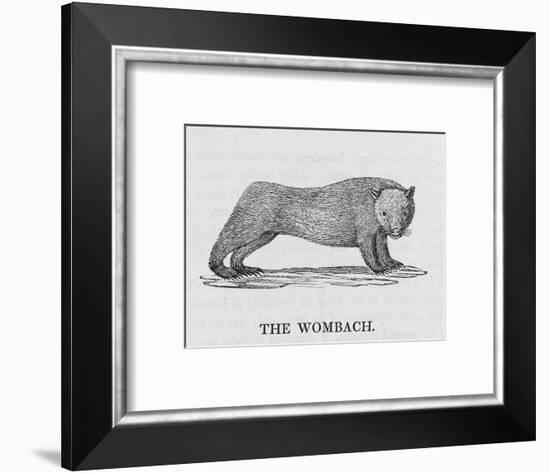 Wombat-null-Framed Art Print