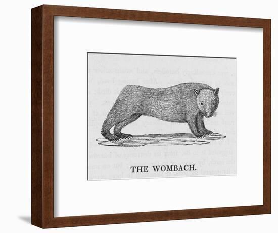 Wombat-null-Framed Art Print