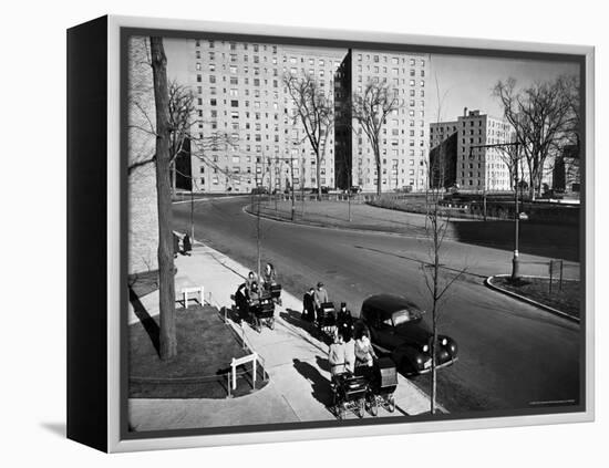 Women and Couples Walking Babies in Carriage in Parkchester Housing Development in the Bronx-Alfred Eisenstaedt-Framed Premier Image Canvas