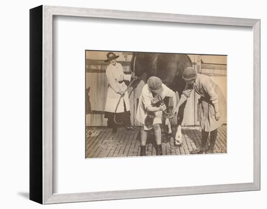 'Women as farriers in the horse hospital of a big firm of haulage contactors', c1916-Unknown-Framed Photographic Print