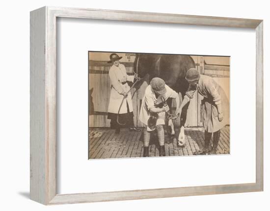 'Women as farriers in the horse hospital of a big firm of haulage contactors', c1916-Unknown-Framed Photographic Print