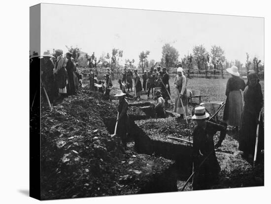 Stretched Canvas Print, , large