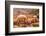 Women Bathing in Cistern, Jaipur, Rajasthan, India, Asia-Laura Grier-Framed Photographic Print