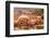 Women Bathing in Cistern, Jaipur, Rajasthan, India, Asia-Laura Grier-Framed Photographic Print