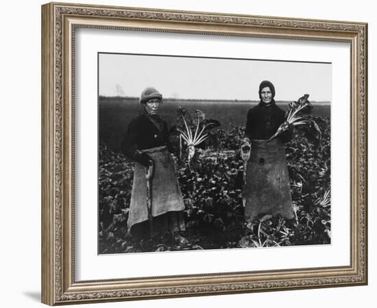 Women Beet Pulling for the War Effort During World War I-Robert Hunt-Framed Photographic Print