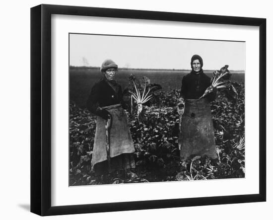 Women Beet Pulling for the War Effort During World War I-Robert Hunt-Framed Photographic Print