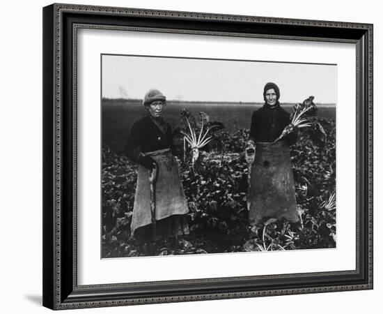 Women Beet Pulling for the War Effort During World War I-Robert Hunt-Framed Photographic Print