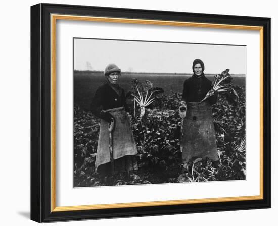 Women Beet Pulling for the War Effort During World War I-Robert Hunt-Framed Photographic Print