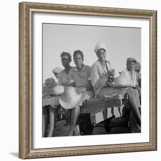 Women being transported from Memphis, Tennessee to an Arkansas plantation, July 1937-Dorothea Lange-Framed Photographic Print