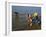 Women by the River Niger, Segou, Mali, Africa-Bruno Morandi-Framed Photographic Print