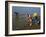 Women by the River Niger, Segou, Mali, Africa-Bruno Morandi-Framed Photographic Print