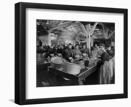 Women Canning Oysters-null-Framed Photographic Print