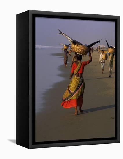 Women Carrying Fish Catch to the Market of Fishing Village, Puri, Orissa State, India-Jeremy Bright-Framed Premier Image Canvas