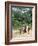 Women Coming Form the Fields, Assoumdele Village, Northern Area, Congo, Africa-David Poole-Framed Photographic Print