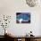 Women Diving into the Pool to Start a Swimming Race-Steven Sutton-Photographic Print displayed on a wall