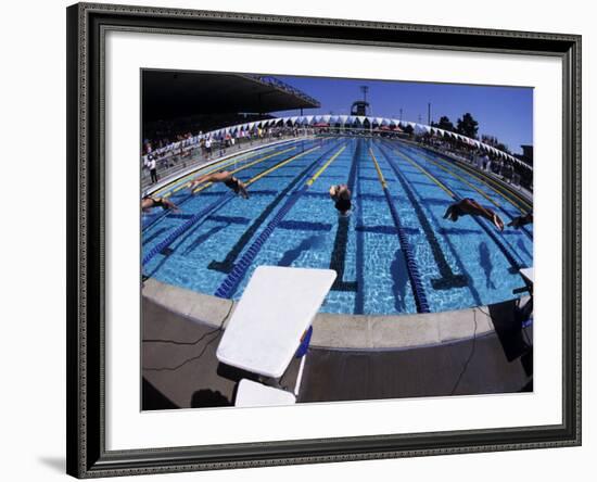 Women Diving into the Pool to Start a Swimming Race-Steven Sutton-Framed Photographic Print