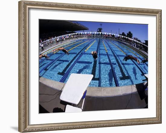 Women Diving into the Pool to Start a Swimming Race-Steven Sutton-Framed Photographic Print