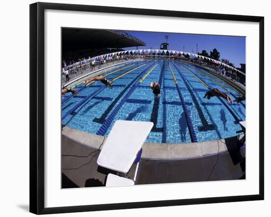 Women Diving into the Pool to Start a Swimming Race-Steven Sutton-Framed Photographic Print