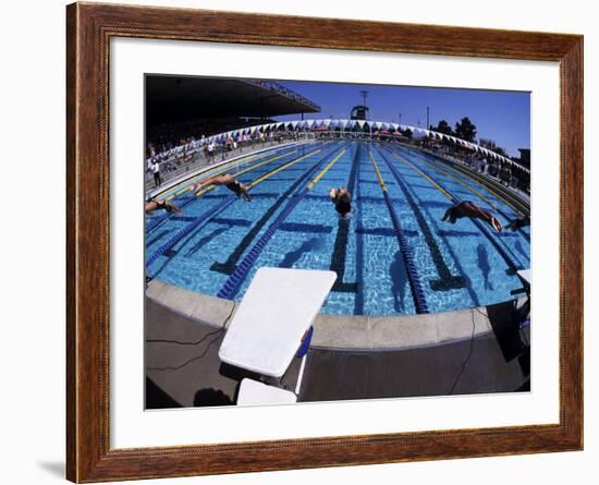 Women Diving into the Pool to Start a Swimming Race-Steven Sutton-Framed Photographic Print