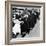 Women Eagerly Shop across the Counter at a Newly Opened Sears Retail Store-null-Framed Photo